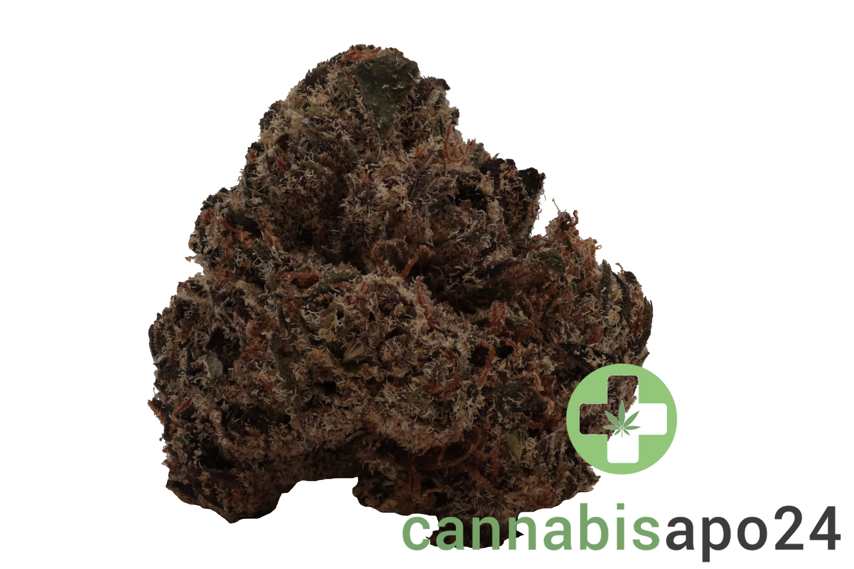 Vasco 18/1 White Runtz