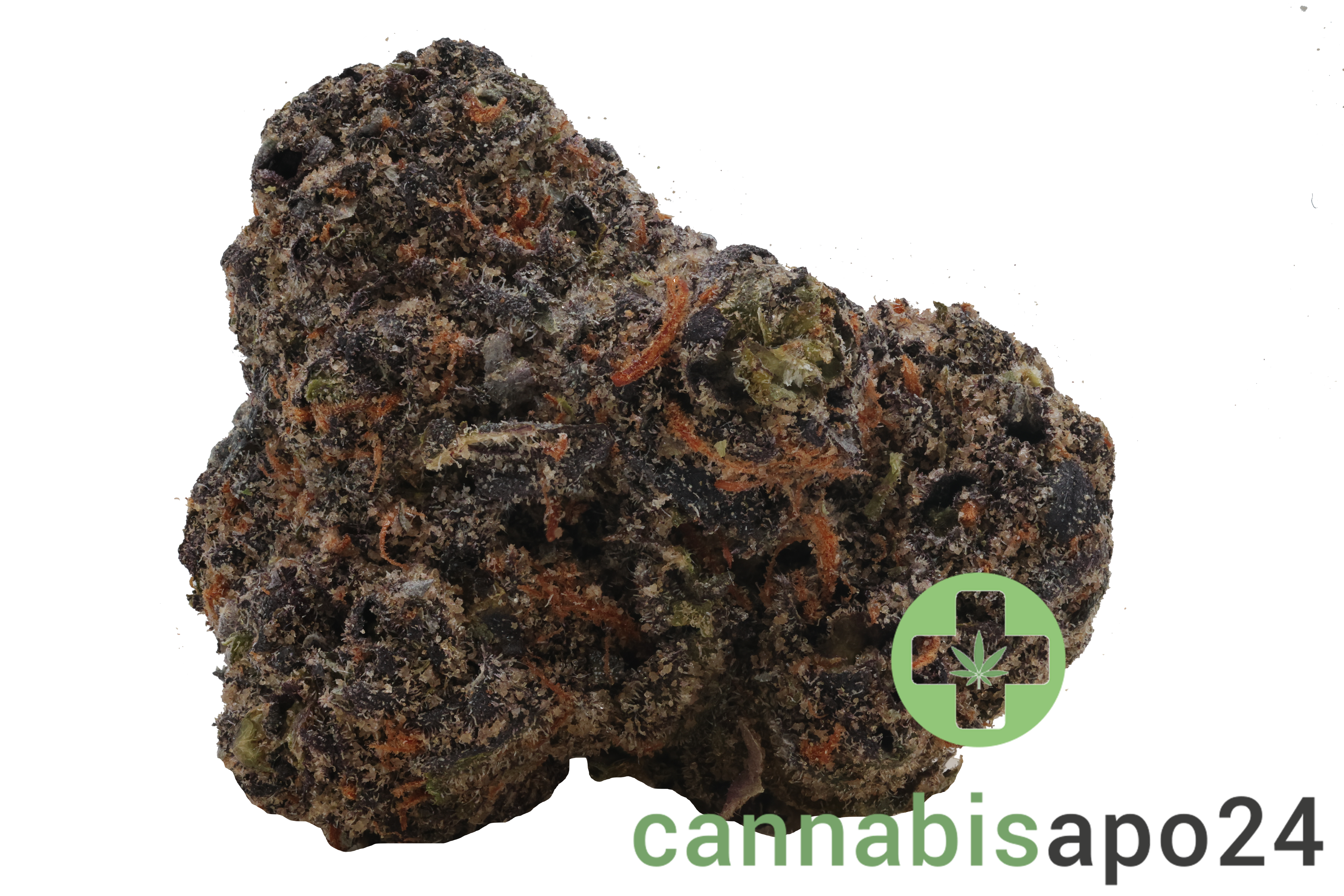 Vasco x Cipher BB Blueberry Banana