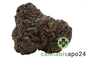Vasco x Cipher BB Blueberry Banana
