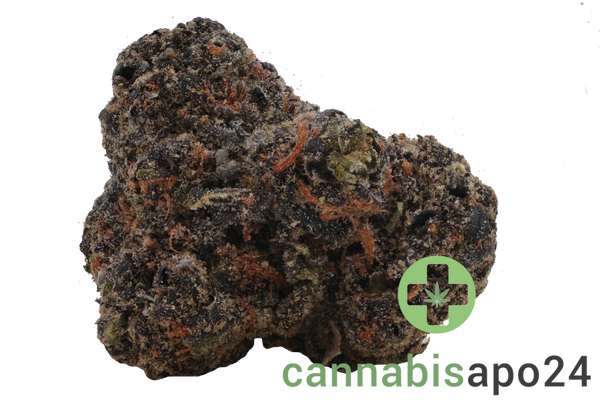 Vasco x Cipher BB Blueberry Banana