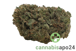 Vayamed Balanced 12/9 Cannatonic