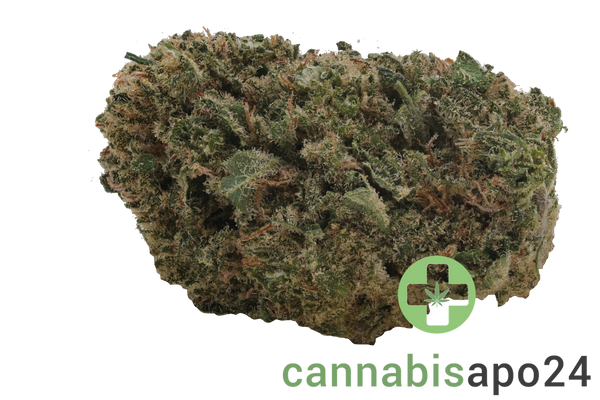 Vayamed Balanced 12/9 Cannatonic