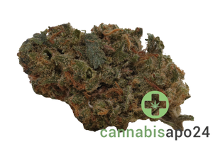 Weeco WW 1A 18/1 White Widow