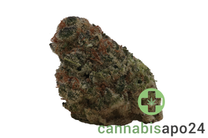 Weeco Tavira 23/1 Sour Punch