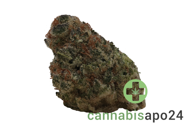 Weeco Tavira 23/1 Sour Punch