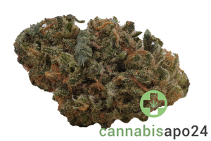 Weeco WW 1A 20/1 White Widow