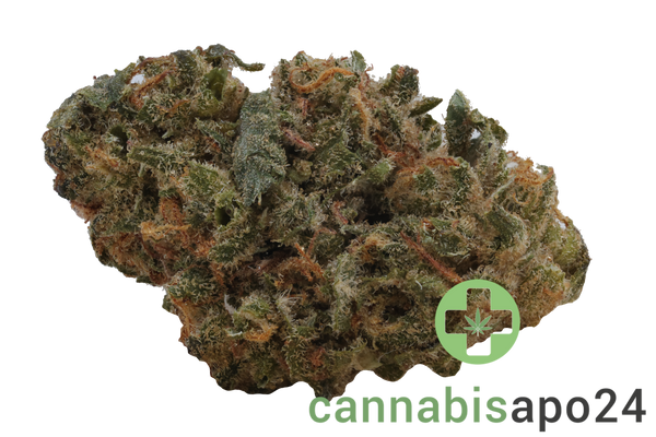 Weeco WW 1A 20/1 White Widow