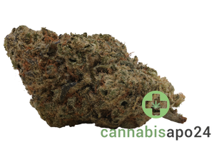 Wellford Aquaponic 26/1 QSG - Queen Sangria