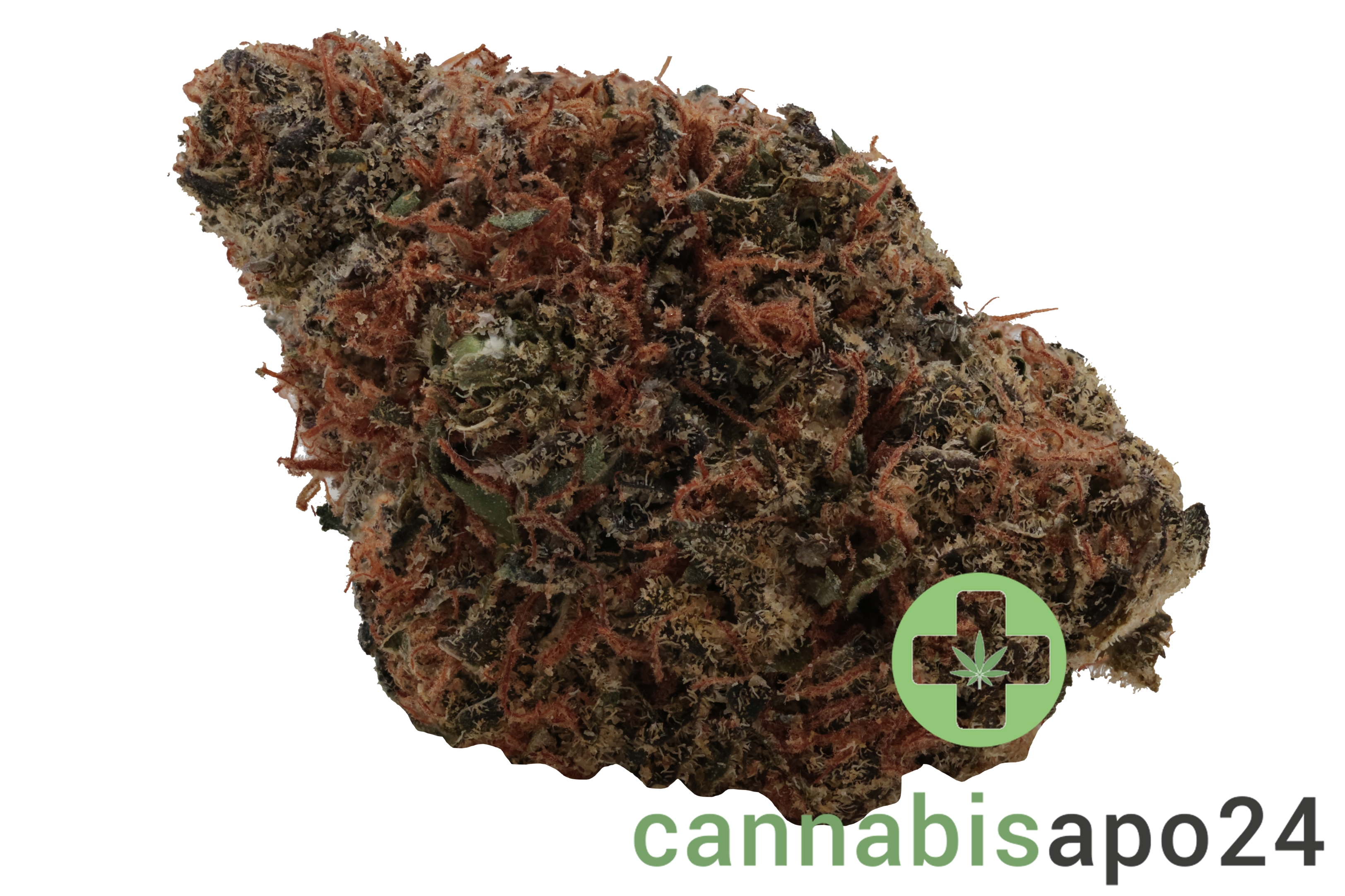 Wellford Aquaponic 23/1 CRO Crescendo Cookies