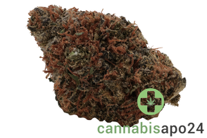 Wellford Aquaponic 23/1 CRO Crescendo Cookies