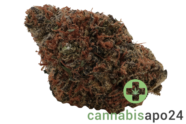 Wellford Aquaponic 23/1 CRO Crescendo Cookies