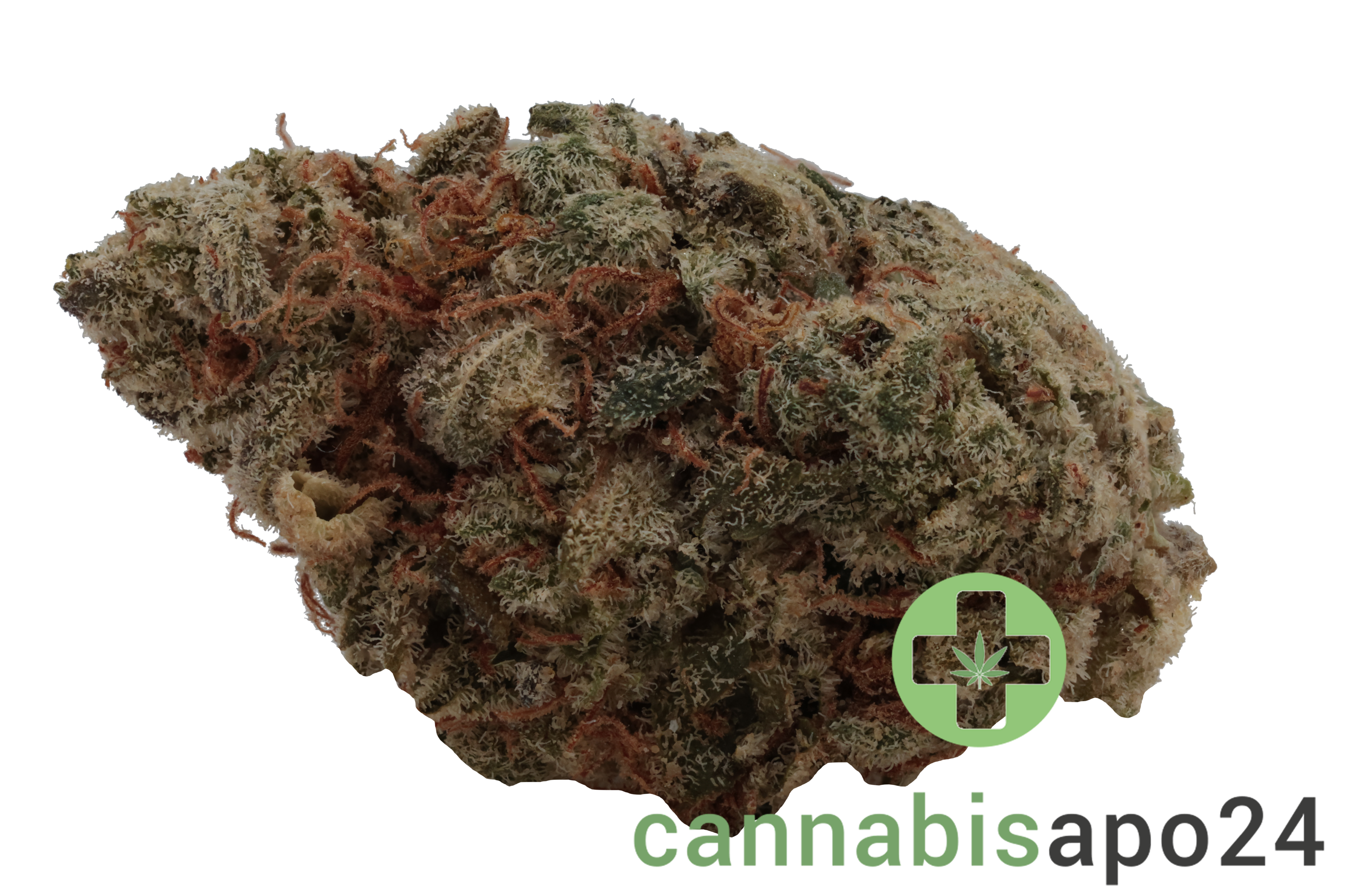 Wellford Aquaponic 24/1 SDK Sensi Double Kush