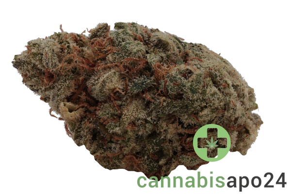 Wellford Aquaponic 24/1 SDK Sensi Double Kush