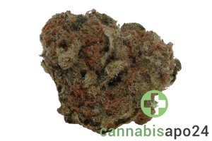 Wellford Aquaponic 29/1 COP Critical Orange Punch