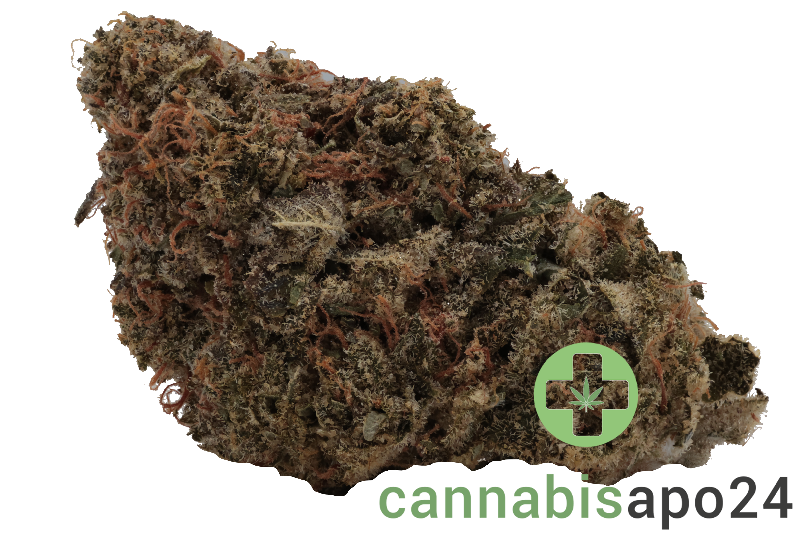 Wellford Aquaponic 23/1 PIK Pink Kush