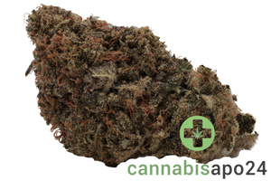 Wellford Aquaponic 23/1 PIK Pink Kush