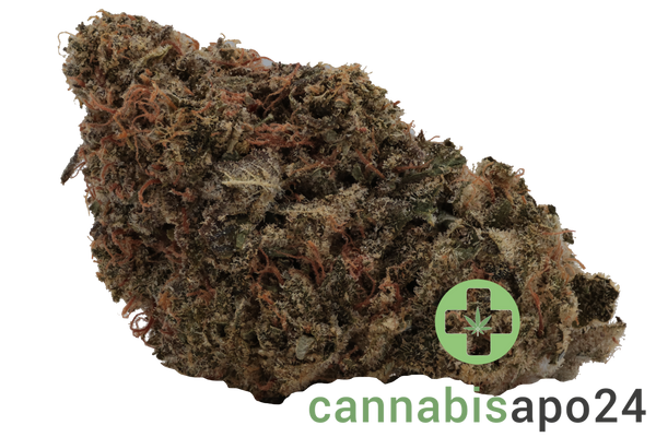 Wellford Aquaponic 23/1 PIK Pink Kush