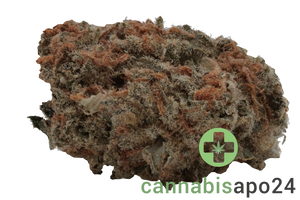 Wellford Aquaponic 26/1 COP Critical Orange Punch