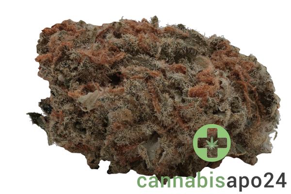 Wellford Aquaponic 26/1 COP Critical Orange Punch