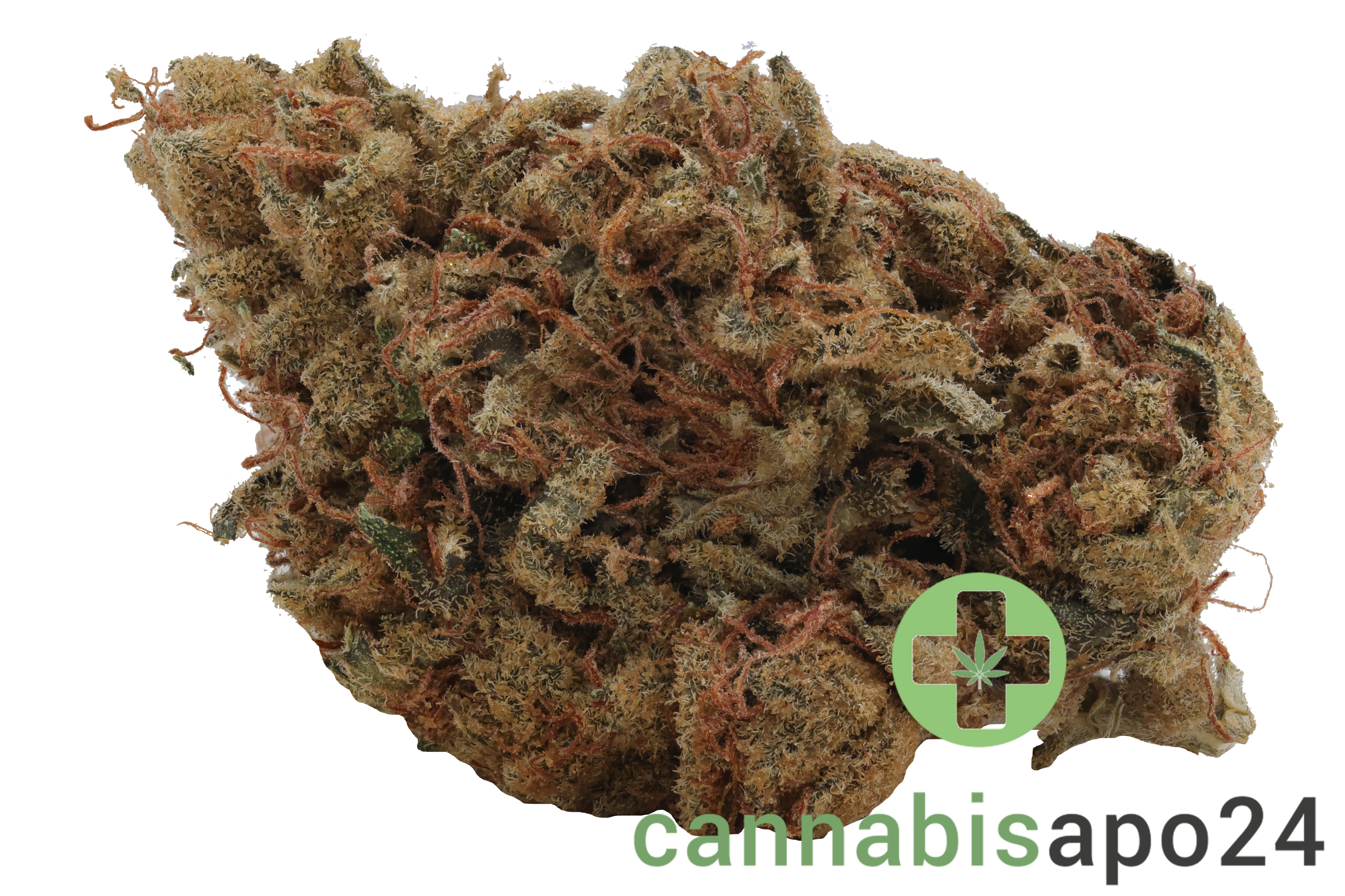 Wellford Luma 24/1 ZA SOC Sour OG Cheese
