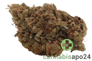 Wellford Luma 24/1 ZA SOC Sour OG Cheese