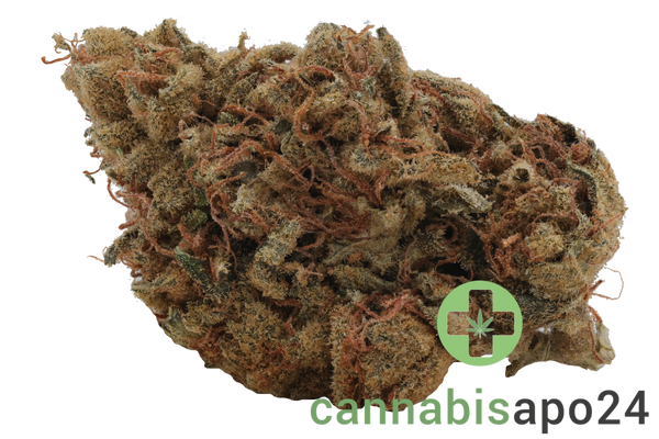 Wellford Luma 24/1 ZA SOC Sour OG Cheese