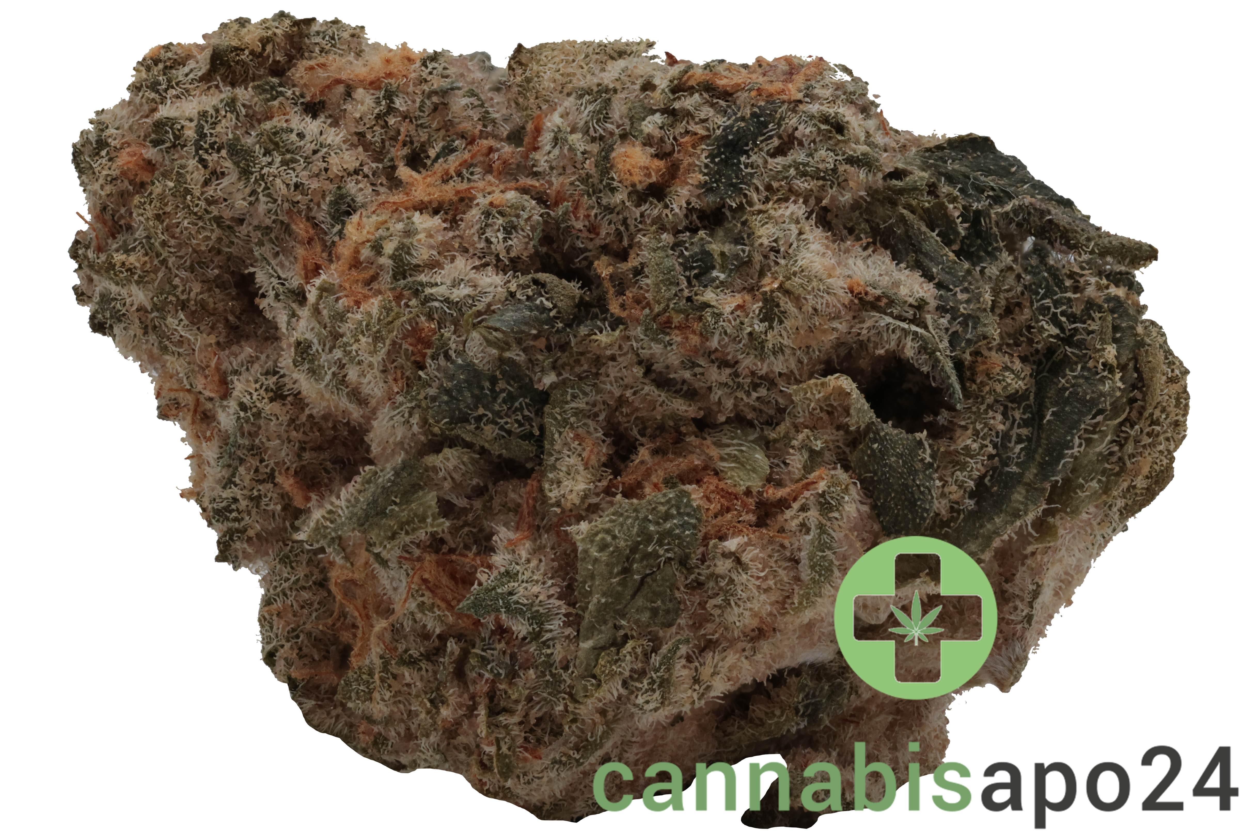 Wellford Peak CA PKM 28/1 Pink Kush Mints