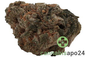 Wellford Peak CA PKM 28/1 Pink Kush Mints