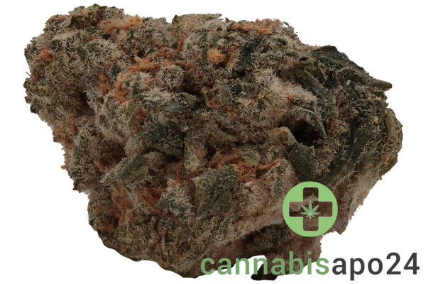 Wellford Peak CA PKM 28/1 Pink Kush Mints