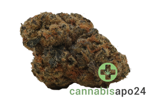 Wellford Peak CA PKM 33/1 Pink Kush Mints