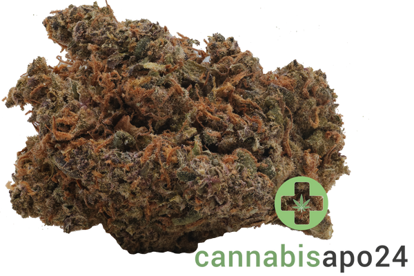 Wildlife 23 MC CAN Mandarin Cookies