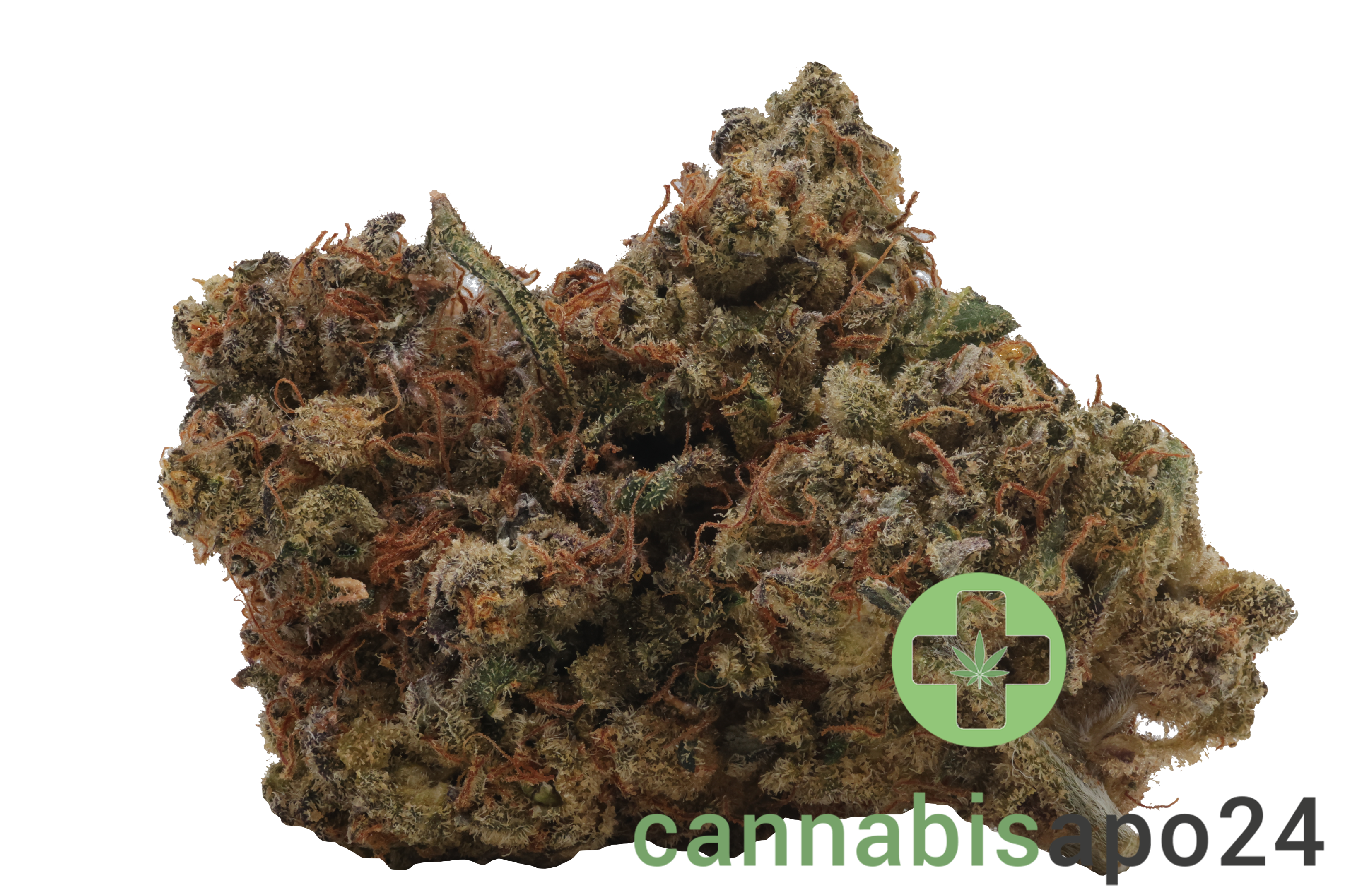 Wildlife 28 SCK CAN Sun Country Kush