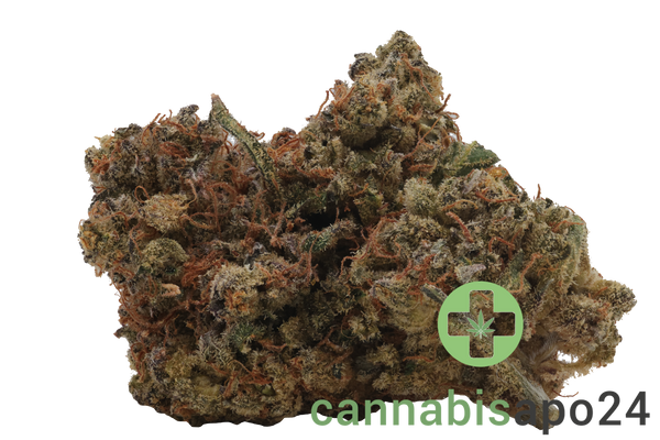 Wildlife 28 SCK CAN Sun Country Kush