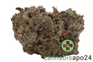 Wildlife 32 CC CAN - Sour Cheat Code