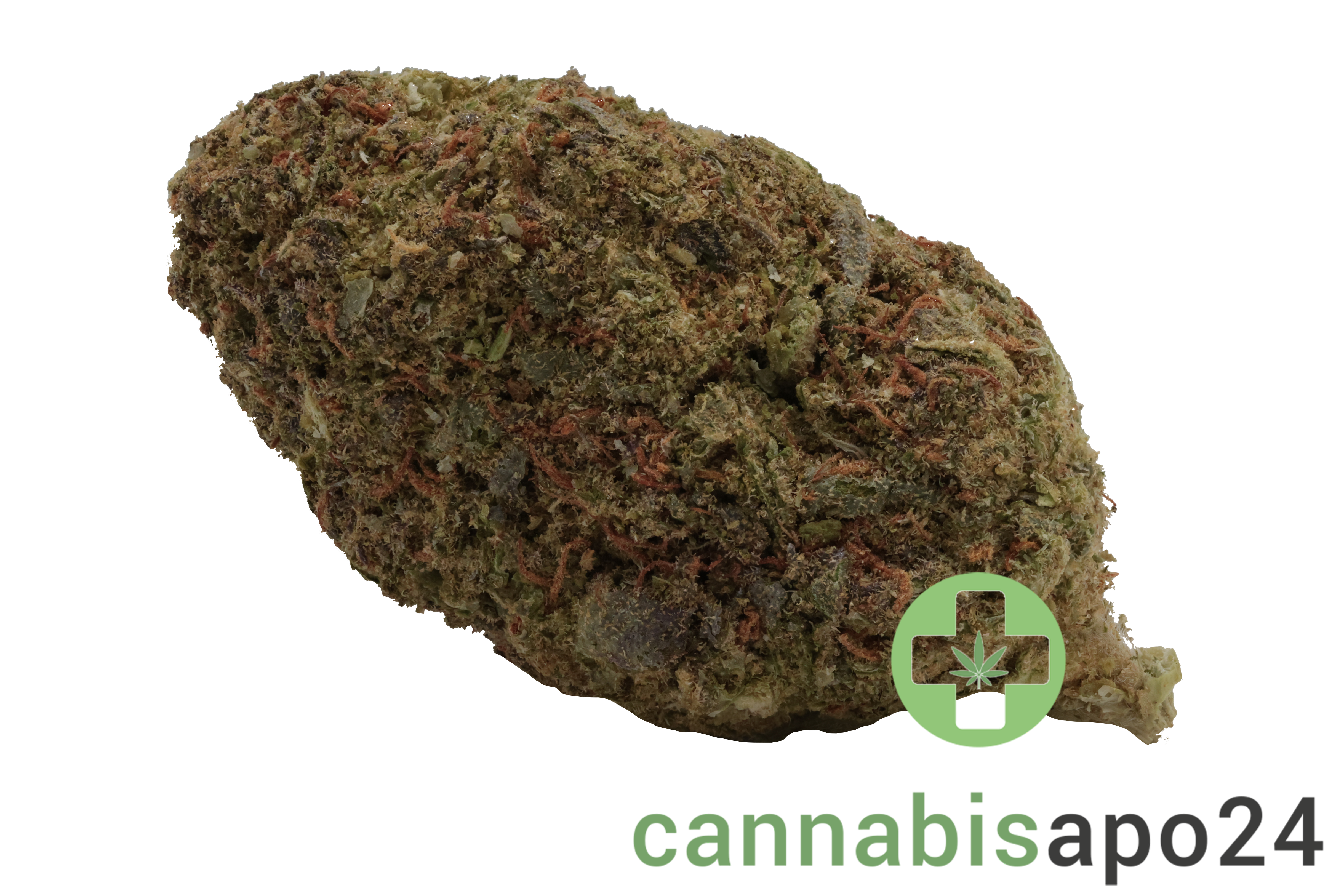 WTF 21/1 MIC ICC Ice Cream Cake