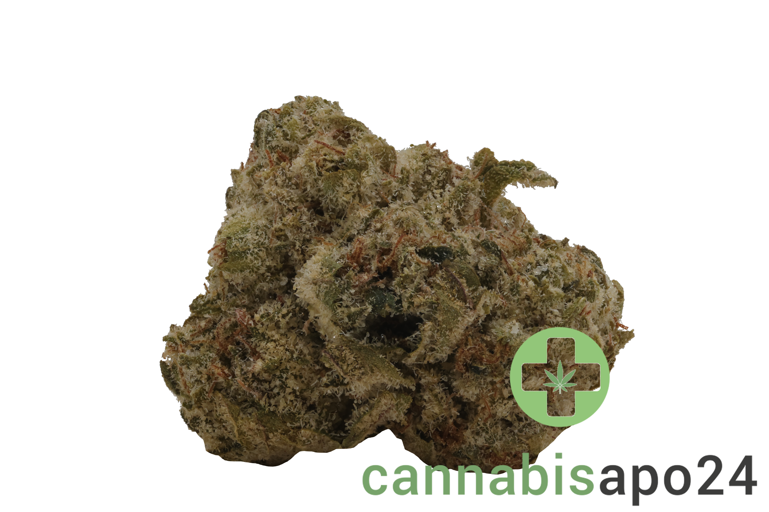 Zoiks 22/1 MOC Mochellow