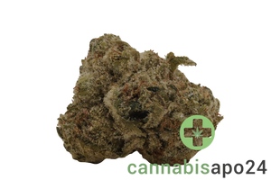 Zoiks 22/1 MOC Mochellow