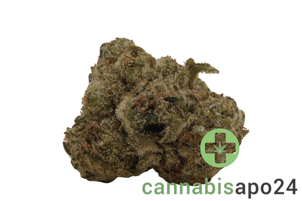 Zoiks 22/1 MOC Mochellow