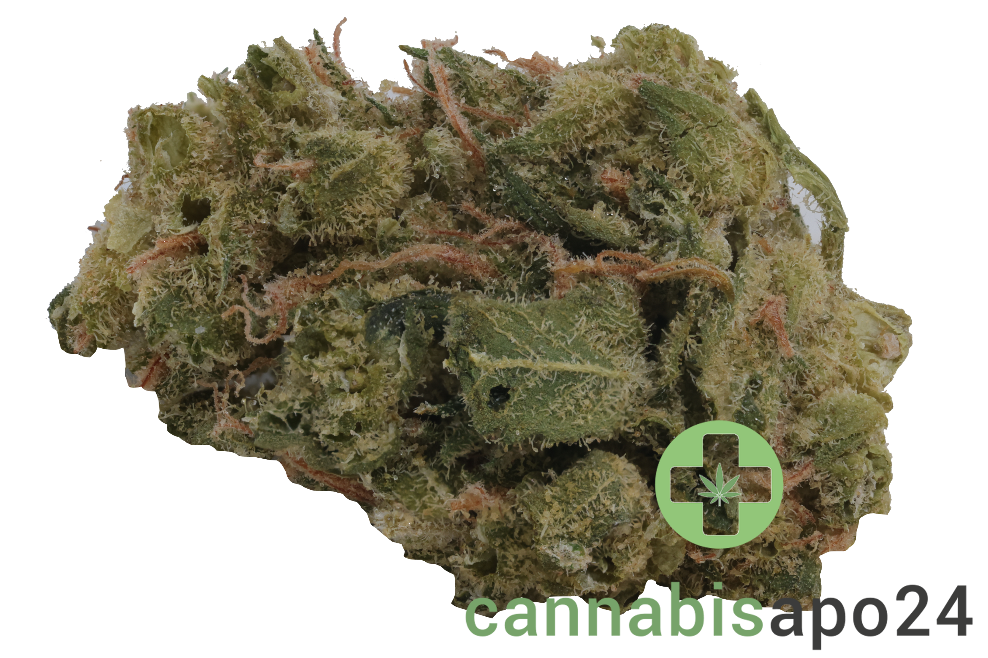 Zoiks 22/1 SF Sourflare
