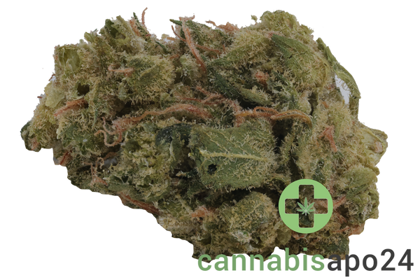 Zoiks 22/1 SF Sourflare
