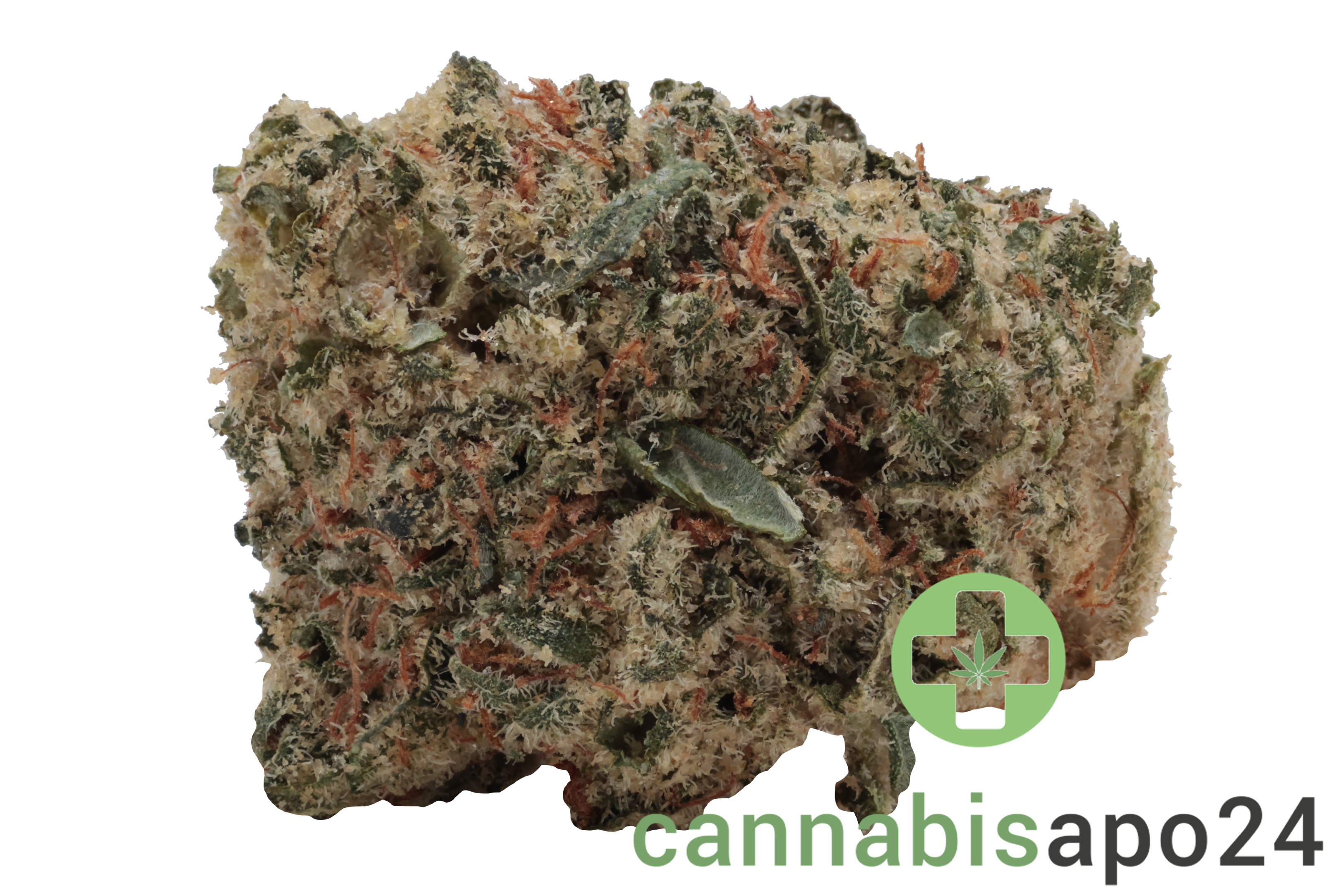 Zoiks 22/1 SR Space Rider