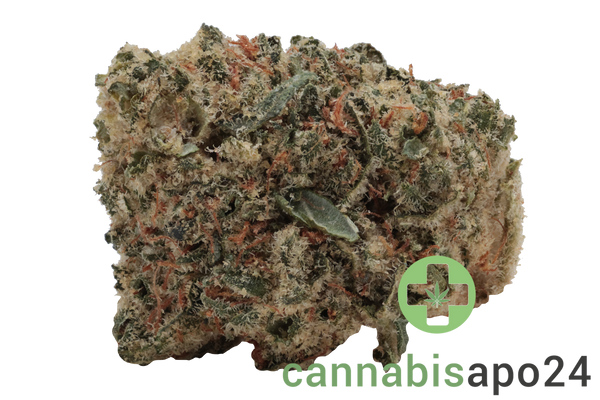 Zoiks 22/1 SR Space Rider