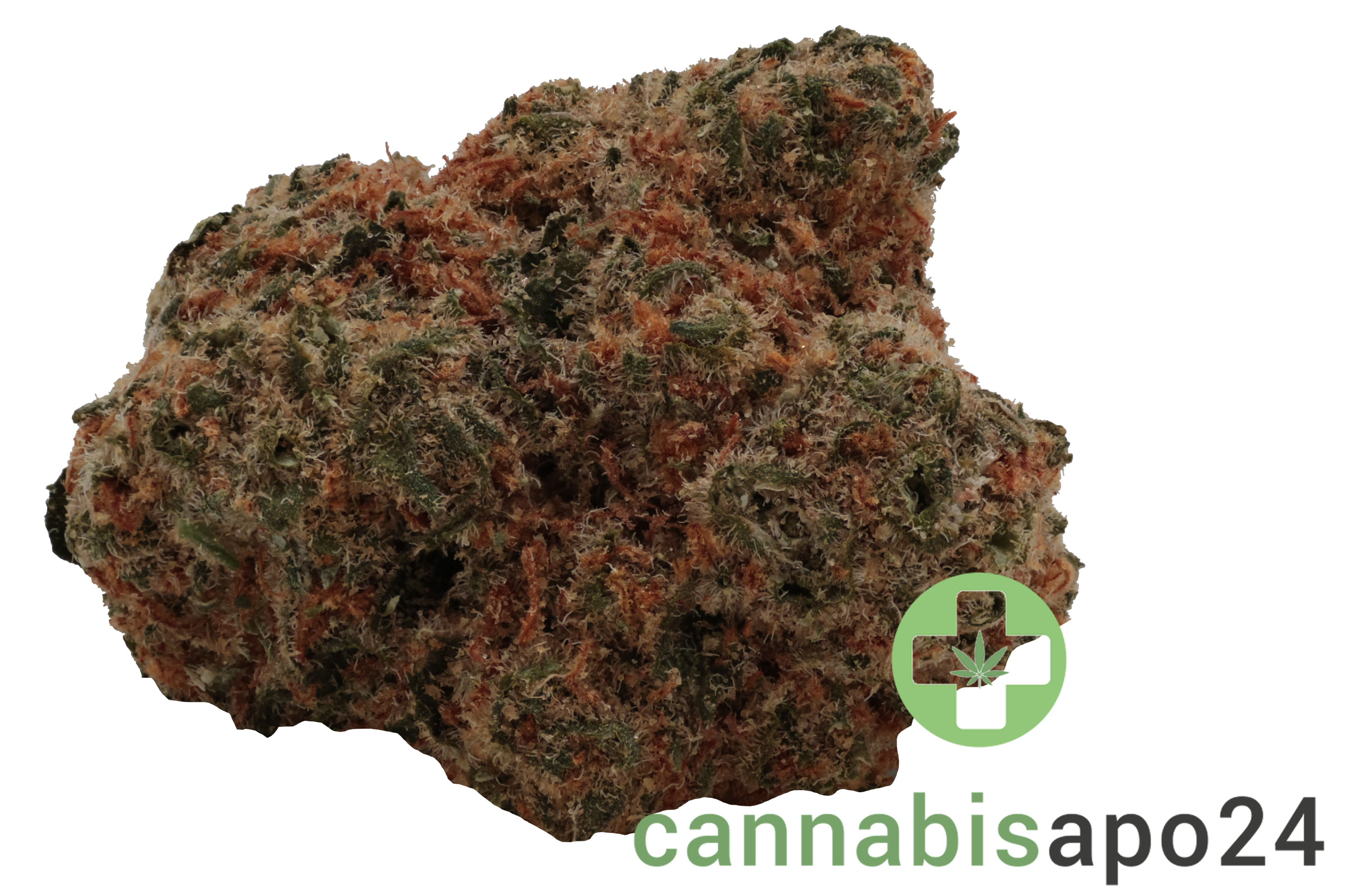 Zoiks 26/1 GCK - GG4 x Critical Kush