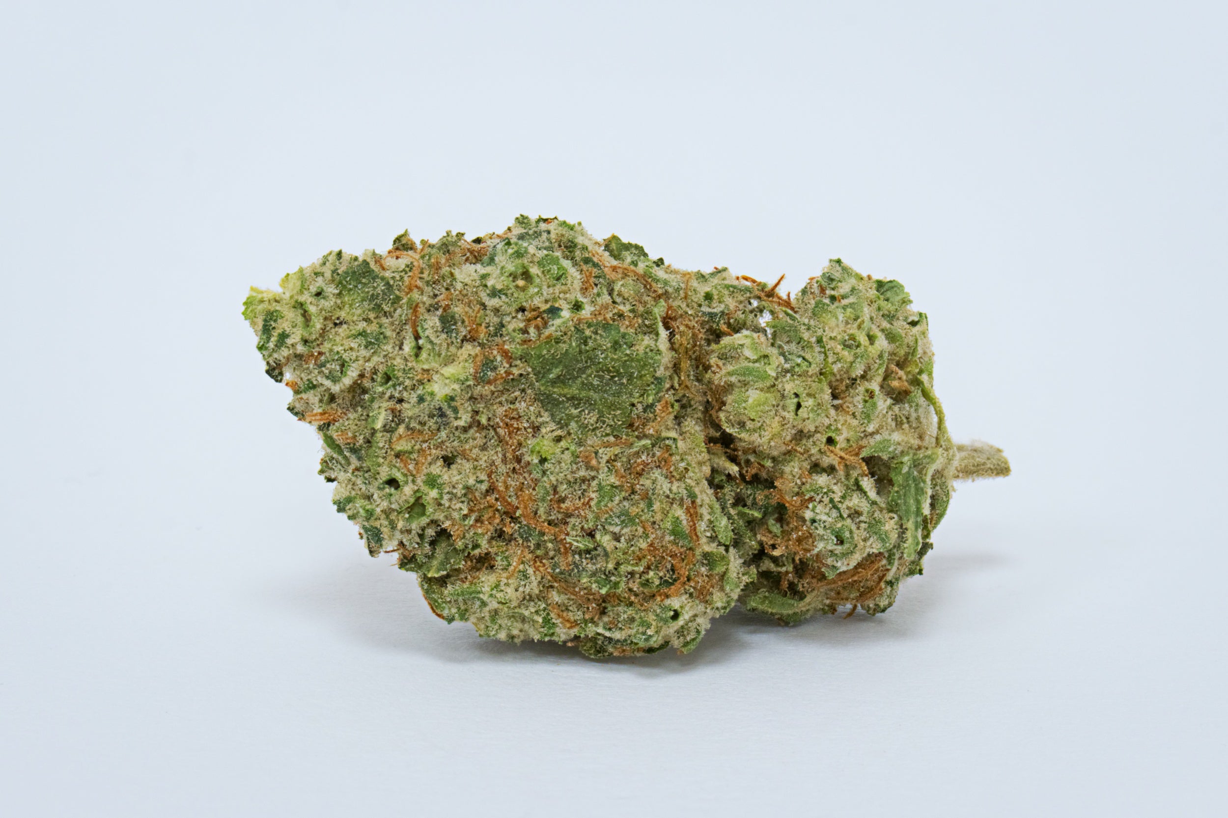 Strain Review Image